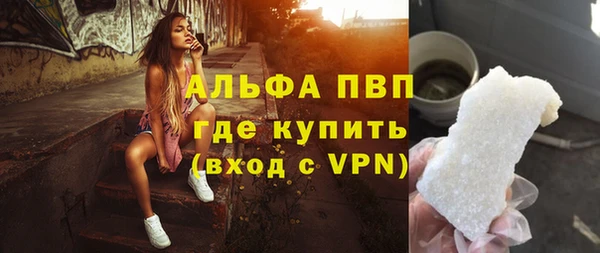 ECSTASY Богородск