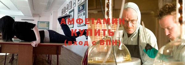 сатива Богданович