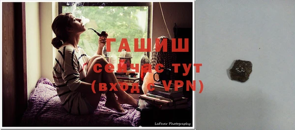 шишки Богородицк