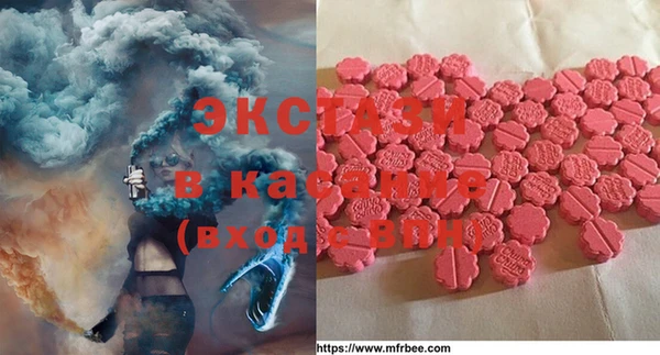 ECSTASY Богородск