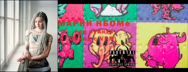 шишки Богородицк