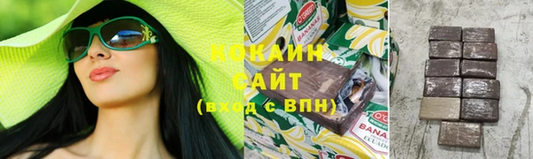 ECSTASY Богородск