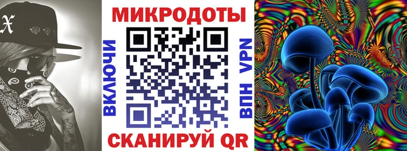 закладки  Старица  Псилоцибиновые грибы MAGIC MUSHROOMS 